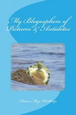 My Blogosphere of Pictures & Antidotes
