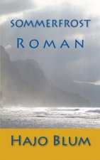 Sommerfrost: Roman