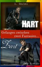 Zart & Hart - Gefangen zwischen zwei Fantasien (Gay Erotik)
