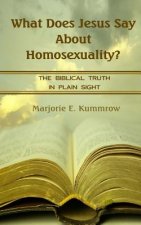 What Does Jesus Say About Homosexuality?: The Biblical Truth In Plain Sight