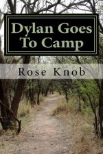 Dylan Goes To Diabetes Camp: Dylan vs. Camp