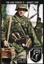 Axis Forces 11