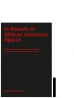 In Search of African American Space
