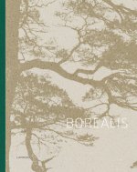 Borealis