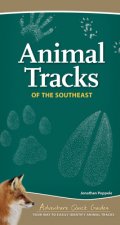 Animal Tracks of the Southeast & Gulf States