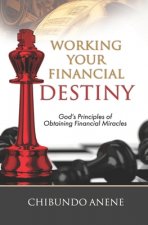 Working Your Financial Destiny: God's Priciples of Obtaining Financial Miracles
