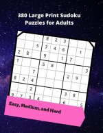 380 Large Print Sudoku Puzzles for Adults