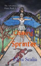 Chasing the Sprinter: A super hero adventure