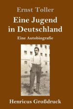 Eine Jugend in Deutschland (Grossdruck)