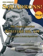 Supermarine Spitfire Mk XIV