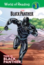 Black Panther: This Is Black Panther