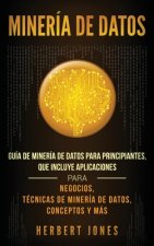 Mineria de Datos