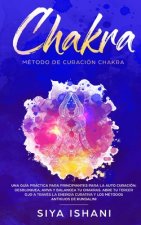 Metodo de Curacion Chakra