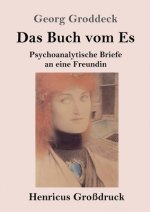 Buch vom Es (Grossdruck)
