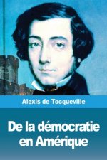 De la democratie en Amerique