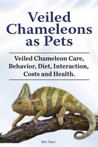 Veiled Chameleons as Pets. Veiled Chameleon Care, Behavior, Diet, Interaction, Costs and Health.