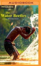 The Water Beetles