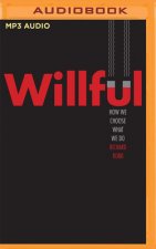 Willful: How We Choose What We Do