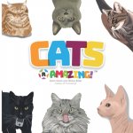 Cats R Amazing!
