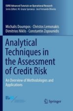 Analytical Techniques in the Assessment of Credit Risk
