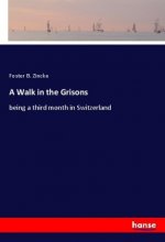 A Walk in the Grisons