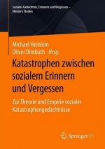 Katastrophen zwischen sozialem Erinnern und Vergessen