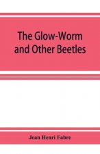 Glow-Worm and Other Beetles
