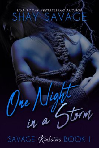 One Night in a Storm: Savage Kinksters Book 1