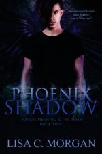 Phoenix Shadow: Maggie Henning & The Realm: Book Three