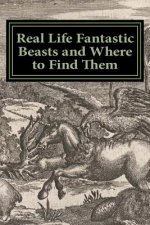 Real Life Fantastic Beasts and Where to Find Them: Illustrated Edition