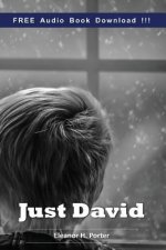 Just David (Include Audio book)