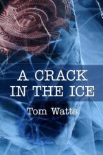 A Crack in the Ice