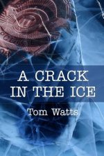 A Crack in the Ice