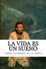 vida es un sueno (Spanish Edition)