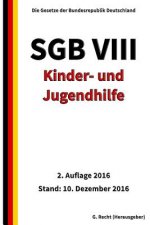 SGB VIII - Kinder- und Jugendhilfe, 2. Auflage 2016