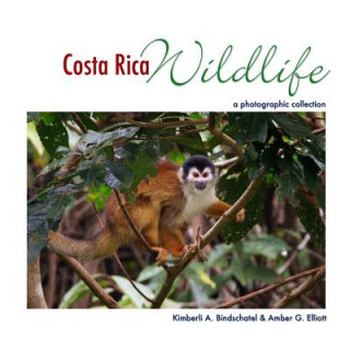 Costa Rica Wildlife: A Photographic Collection