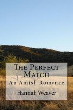 The Perfect Match: An Amish Romance