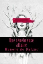 Une ténébreuse affaire
