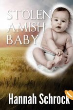 Stolen Baby Amish