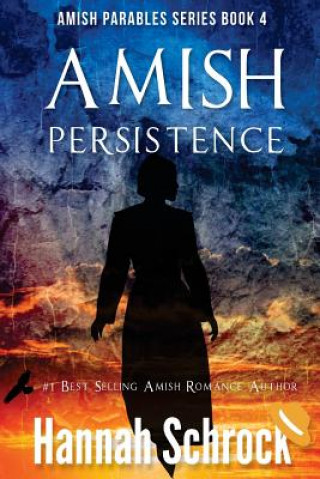 Amish Persistence