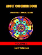 Adult Coloring Book: The Ultimate Mandala Series Volume 1