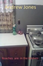 Roaches are in the Kitchen