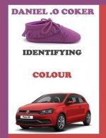 Identifying Colour