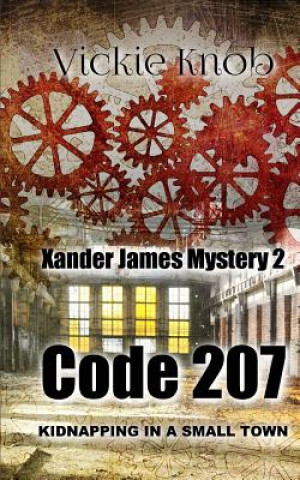 Code 207: Kidnapped in a small town