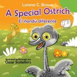 A Special Ostrich /El ?andú diferente