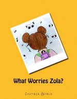 What Worries Zola?