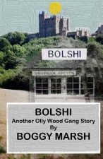 BolShi