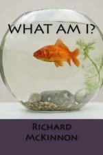 What Am I?: Rhyming and alliteration