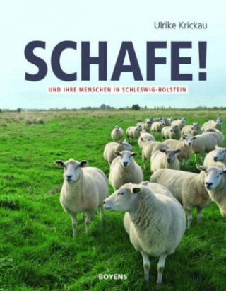 Schafe!