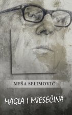 Magla i mjesecina